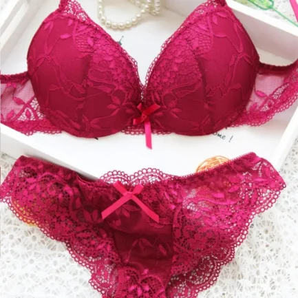 Women Bra Sexy Lingerie Embroidery Corset Women Underwear Lace Floral Lingerie Underwear Push-Up Bra Set Sexy Lingerie New Year - Image 7