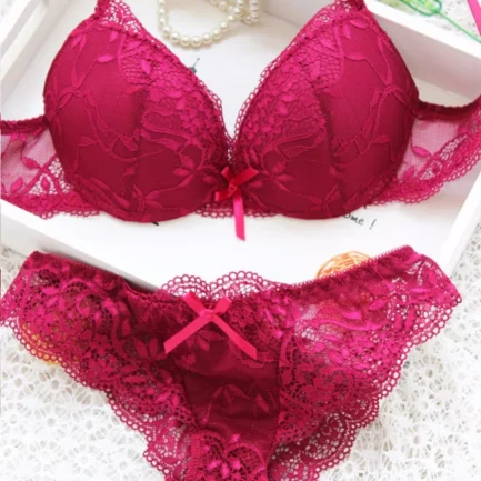 Women Bra Sexy Lingerie Embroidery Corset Women Underwear Lace Floral Lingerie Underwear Push-Up Bra Set Sexy Lingerie New Year - Image 3