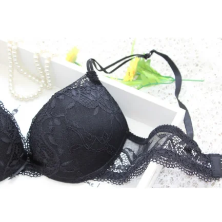 Women Bra Sexy Lingerie Embroidery Corset Women Underwear Lace Floral Lingerie Underwear Push-Up Bra Set Sexy Lingerie New Year - Image 13