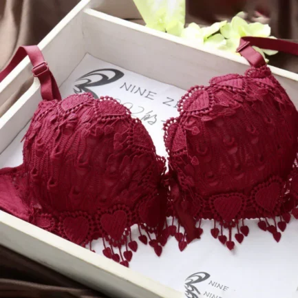 Women push up lace bra brand embroidery tassel sexy lingerie brassiere - Image 11