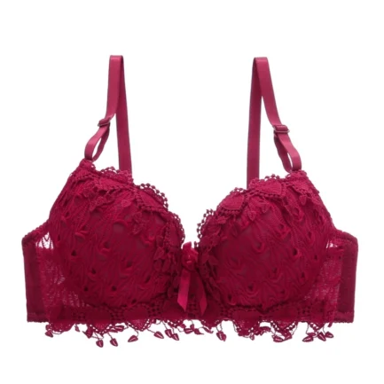 Women push up lace bra brand embroidery tassel sexy lingerie brassiere - Image 12
