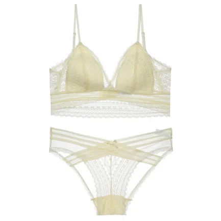 Newly French Style Women Underwear Bras Set Deep V-neck Sexy Low Back U-shaped Bra Lace Bra With Panty Set Lencería Para Mujer - Image 28