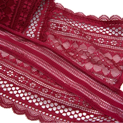 Newly French Style Women Underwear Bras Set Deep V-neck Sexy Low Back U-shaped Bra Lace Bra With Panty Set Lencería Para Mujer - Image 23