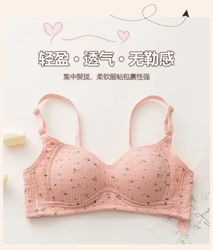 Women Sexy Lingerie Triangle Cup Brassiere Wire Free Bra Underwear Bras for Girls Womens Without Steel Rings French Traceless - Image 11
