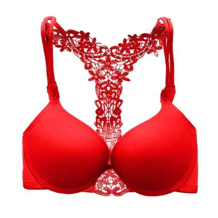 Comfortable Fitness Crop Top Adjustable Bra Underwire Seamless Bra For Women Sexy Beauty Back Embroidery Lace Bras 2024 - Image 10