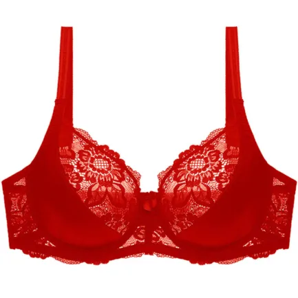 Bra For Women Sexy Women Plus Size Lace Bra Soild Color Push Up Sexy Thin Breathable Bra Sujetadores Sexys - Image 11