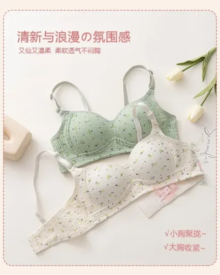 Women Sexy Lingerie Triangle Cup Brassiere Wire Free Bra Underwear Bras for Girls Womens Without Steel Rings French Traceless - Image 8