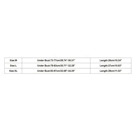 Thin Cup Lace Bra For Women High Elastic Solid Color Wrapped Chest Breathable Brassiere Shockproof Push Up Sexy Lingeries - Image 11