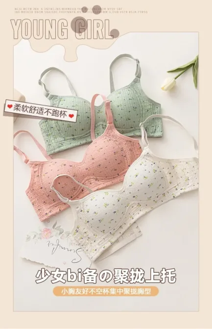 Women Sexy Lingerie Triangle Cup Brassiere Wire Free Bra Underwear Bras for Girls Womens Without Steel Rings French Traceless - Image 7