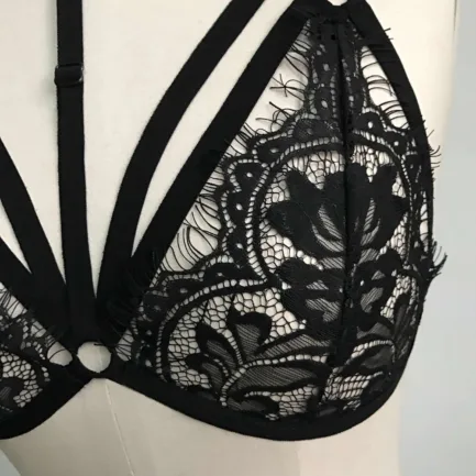 Sexy Lingerie For Ladies Floral Lace Bralette Bustier Crop Top Sheer Bra Shirt Vest Luxury Embroidered Mesh Underwear 일본여자속옷 - Image 14