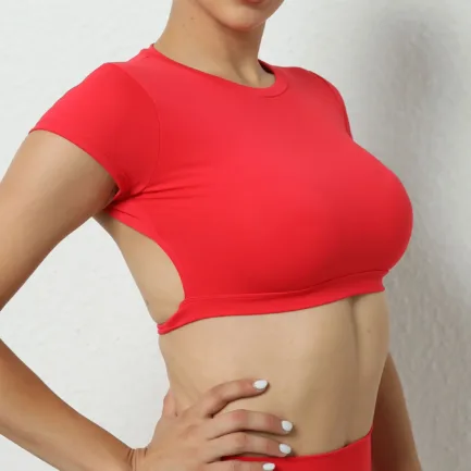 Hearuisavy Sports Shirts Breathable Workout Tops Fitness Sportswear Female Backless Yoga Clothing Sport Crop Tops Women Gym Top - Image 15