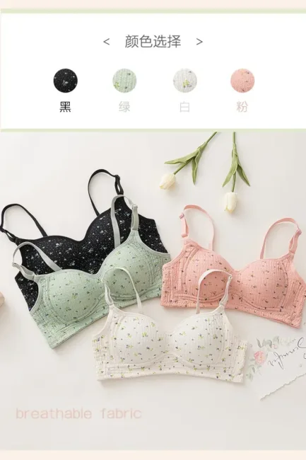 Women Sexy Lingerie Triangle Cup Brassiere Wire Free Bra Underwear Bras for Girls Womens Without Steel Rings French Traceless - Image 10