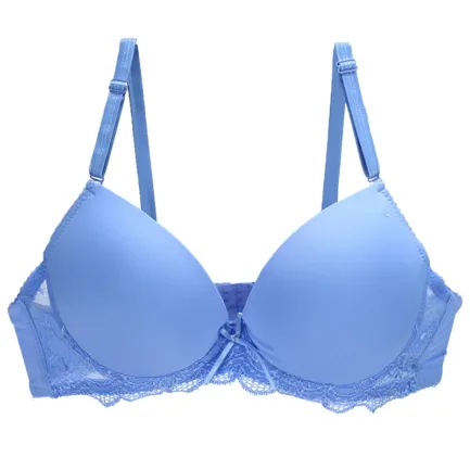2024 New Sexy Push Up Bra For Women Pink Blace Blue Green Khaki Purple Brassiere BCDE Cup Underwear Underwire Plus Size Lingerie - Image 2