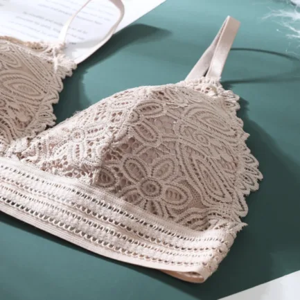 Beauty Back Women Sexy Lace Bras Corset Triangle Bralette Push Up Lingerie топ French Style Detachable Underwear - Image 19